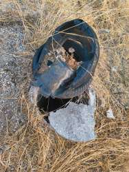 Photo of this report