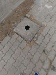 Photo of this report