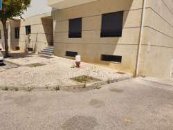 Photo of this report