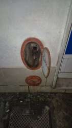 Photo of this report