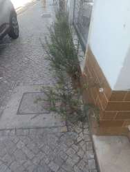 Photo of this report