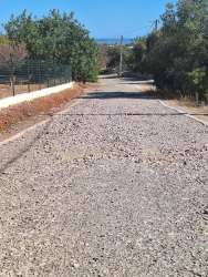 Photo of this report