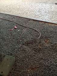 Photo of this report