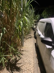 Photo of this report