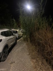 Photo of this report