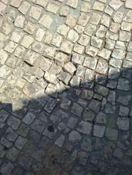 Photo of this report