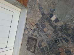 Photo of this report