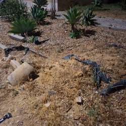 Photo of this report