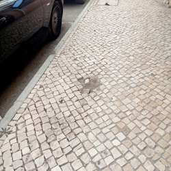 Photo of this report