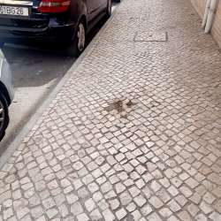 Photo of this report