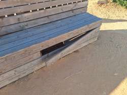 Photo of this report