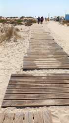 Photo of this report