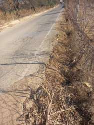 Photo of this report