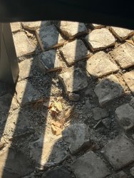 Photo of this report