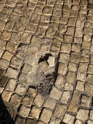 Photo of this report