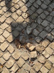 Photo of this report