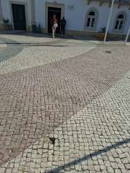 Photo of this report