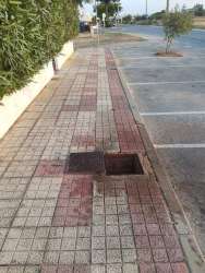 Photo of this report