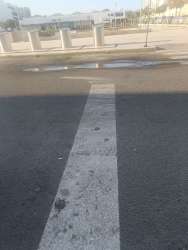 Photo of this report