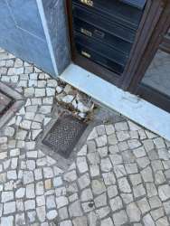 Photo of this report