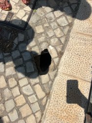 Photo of this report