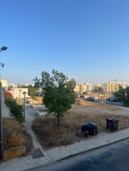 Photo of this report