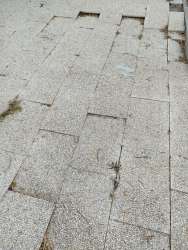 Photo of this report