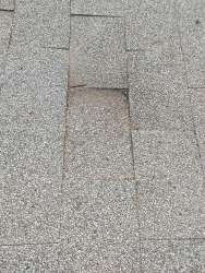 Photo of this report