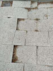 Photo of this report