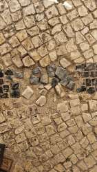 Photo of this report