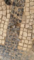 Photo of this report