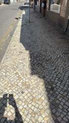 Photo of this report