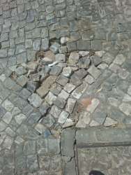 Photo of this report