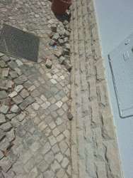 Photo of this report