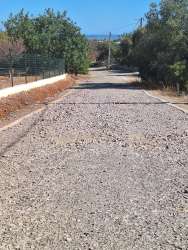 Photo of this report