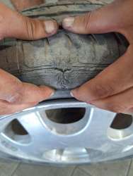 Photo of this report