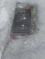 Photo of this report