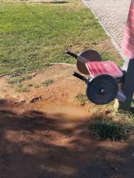 Photo of this report