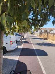 Photo of this report