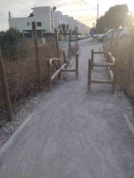 Photo of this report