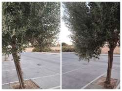 Photo of this report