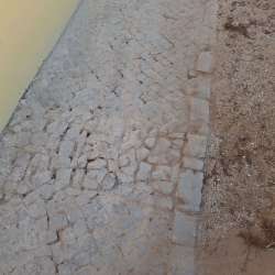 Photo of this report