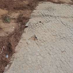 Photo of this report