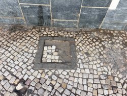 Photo of this report