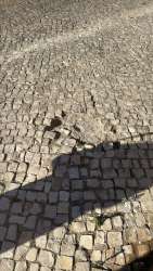 Photo of this report