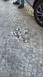 Photo of this report