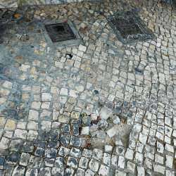 Photo of this report