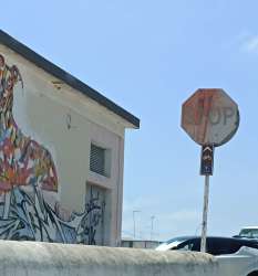 Photo of this report