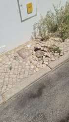 Photo of this report