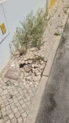 Photo of this report